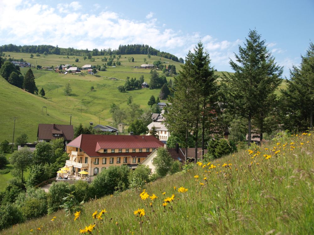 Wellness Schwarzwald